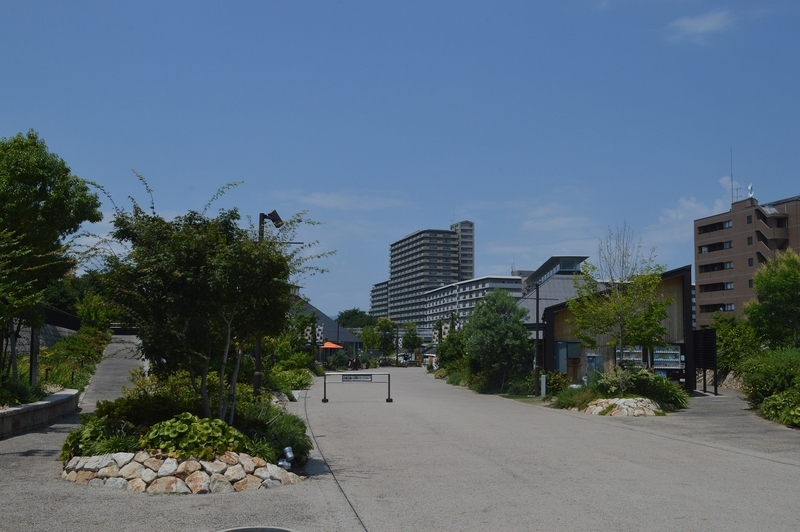旧草津川の河川敷跡地を活用した公園「de愛ひろば」。かつては周囲より高い位置に川が流れていた。