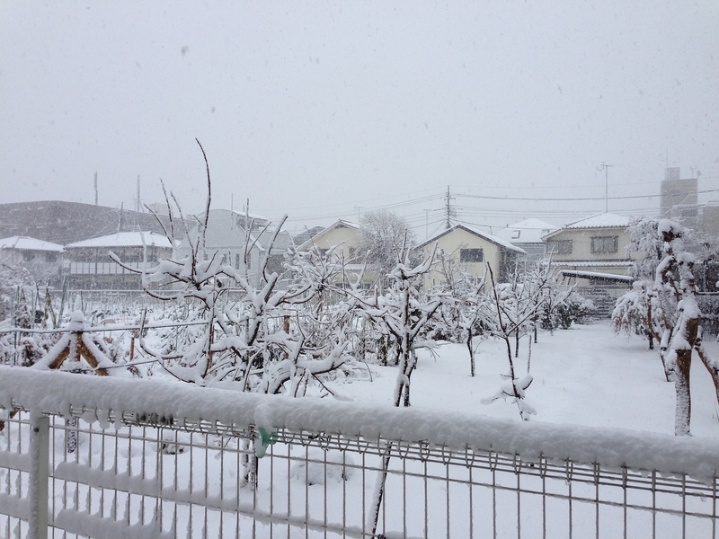 雪の日の道路状況。除雪の有無が移動時間を大きく左右する。