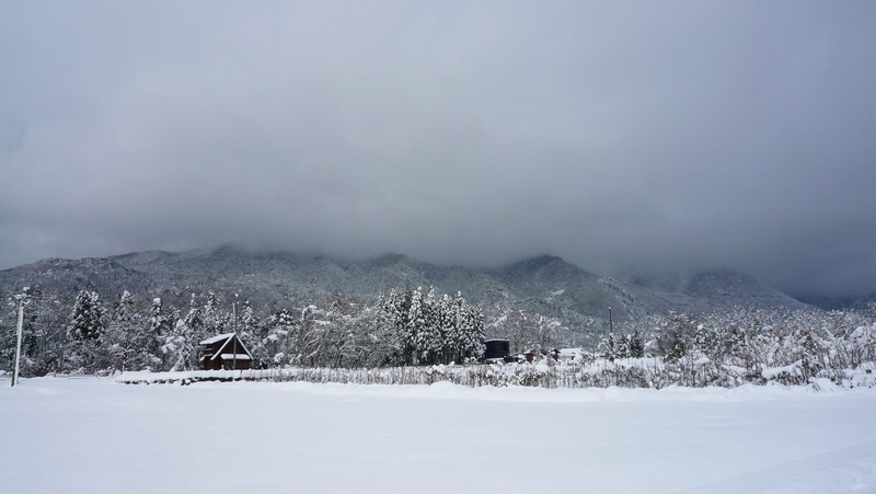 深い雪に覆われた高島市マキノ町の冬景色