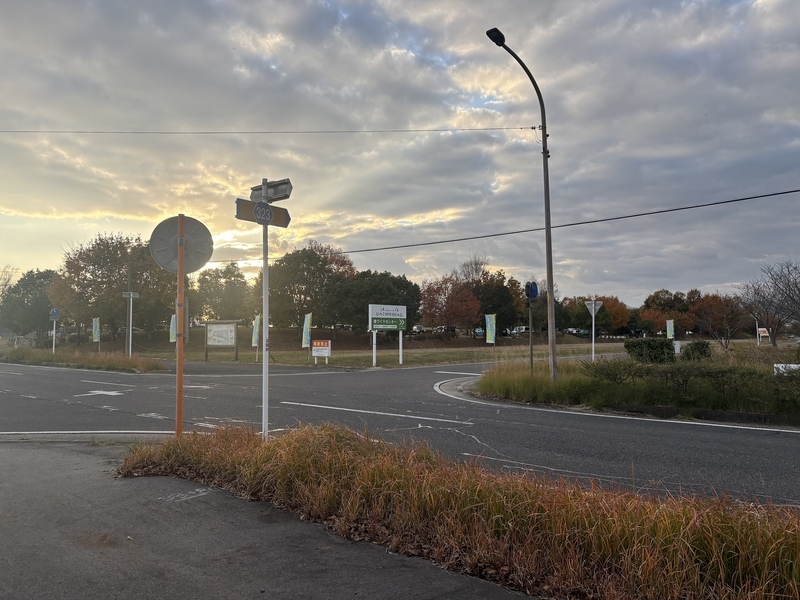 守山市水保町周辺の県道と交差点。整備された道路環境。